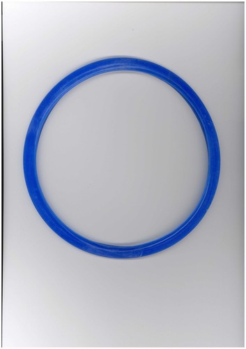 Pressure cooker gasket - pressure,