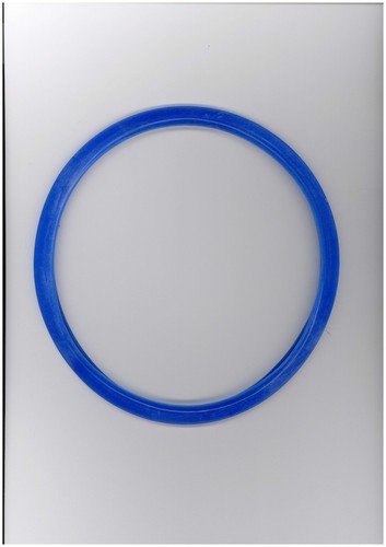 Prestige gasket sealing ring - gasket,